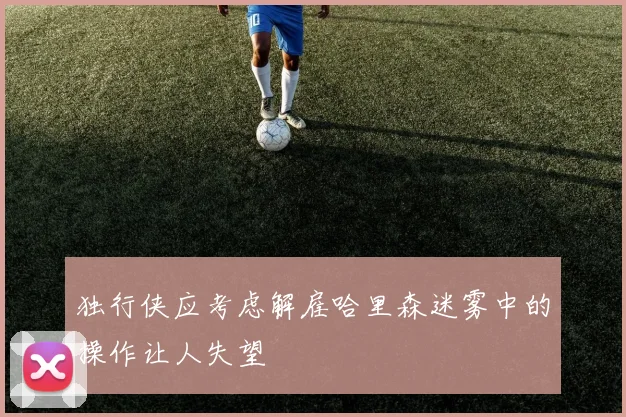独行侠应考虑解雇哈里森迷雾中的操作让人失望