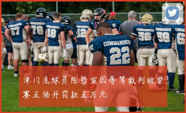 津门虎球员陈哲宣因辱骂裁判被禁赛五场并罚款五万元