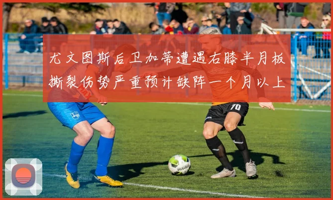尤文图斯后卫加蒂遭遇右膝半月板撕裂伤势严重预计缺阵一个月以上