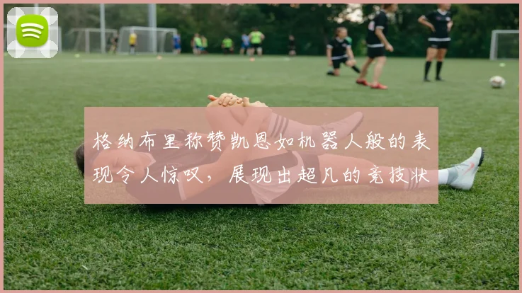 格纳布里称赞凯恩如机器人般的表现令人惊叹，展现出超凡的竞技状态