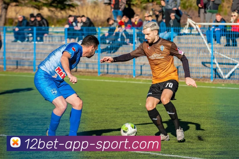 12bet平台生态图