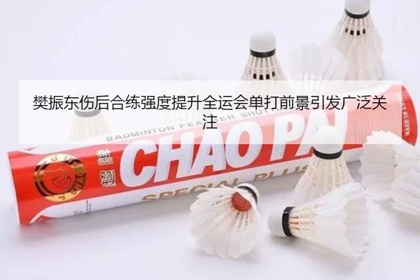 樊振东伤后合练强度提升全运会单打前景引发广泛关注（12bet）